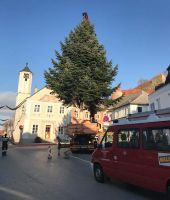 Baum7_bearbeitet-auswahl