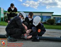 IMG_20210423_174447_bearbeitet-WZ