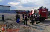 1_IMG_20210608_181640_bearbeitet-WZ