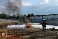 8_IMG_20210608_190916_bearbeitet-WZ