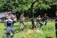 IMG_5946_bearbeitet-WZ