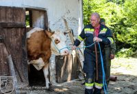 IMG_5962_bearbeitet-WZ