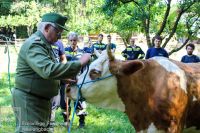 IMG_5976_bearbeitet-WZ