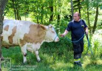 IMG_6002_bearbeitet-WZ