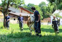 IMG_6005_bearbeitet-WZ