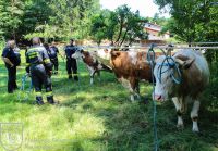 IMG_6015_bearbeitet-WZ