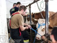 IMG_6022_bearbeitet-WZ