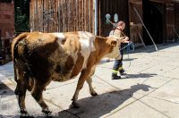 IMG_6030_bearbeitet-WZ