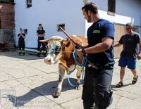 IMG_6036_bearbeitet-WZ