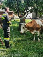 IMG_6037_20210626_151533_bearbeitet-WZ