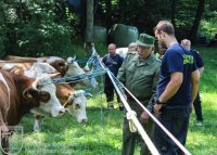 IMG_6042_bearbeitet-WZ