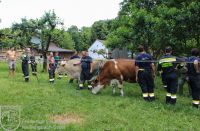 IMG_6056_bearbeitet-WZ