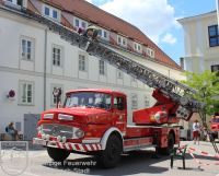 IMG_3489_bearbeitet_wz_grau