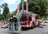 IMG_3514_bearbeitet_wz_grau