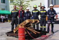 IMG_3545_bearbeitet_wz_grau