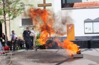 IMG_3654_bearbeitet_wz_grau