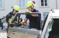 IMG_3745_bearbeitet_wz_grau