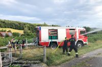 IMG-5584_bearbeitet_wz