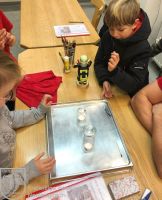 IMG_1731_bearbeitet_wz