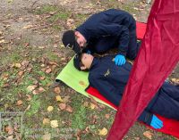 IMG_8387_bearbeitet_wz