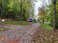 IMG_20221026_110140_bearbeitet-WZ