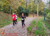 IMG_20221026_111011_bearbeitet-WZ