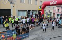 IMG_6505_bearbeitet-WZ