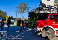 IMG_20221007_163625_bearbeitet