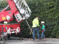 IMG_5312_bearbeitet_wz