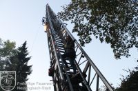 IMG_5354_bearbeitet_wz