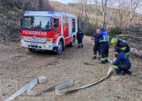 IMG_20220326_082727_bearbeitet_wzgrau