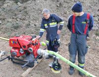 IMG_20220326_090905_bearbeitet_wzgrau