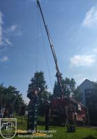 IMG_20220623_083831_bearbeitet_wz