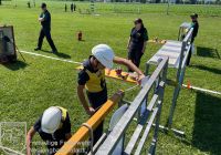 IMG_7717_bearbeitet_wz