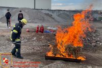 IMG_7145_bearbeitet_wz