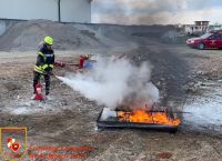 IMG_7294_bearbeitet_wz