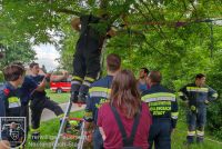 IMG_20220601_191621_bearbeitet_wz