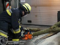 DSC00780_bearbeitet_wz