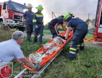 IMG_20230823_193152_bearbeitet_wz