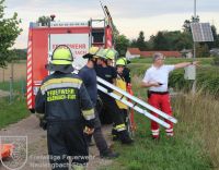 IMG_7985_bearbeitet_wz