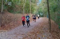 IMG_20231026_112438_bearbeitet_wz