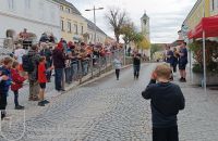 IMG_20231026_134632_bearbeitet_wz