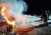 IMG_20240119_175956__bearbeitet_wz