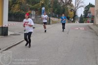 20241026_133307_bearbeitet_wz