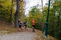 DSC02751_bearbeitet_wz