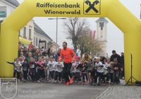 IMG_8715_bearbeitet_wz