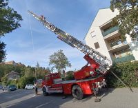 IMG_20240906_165318_bearbeitet