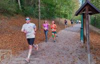 IMG_20231026_111238_bearbeitet_wz