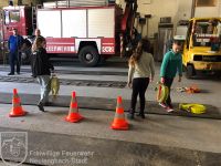 IMG_2660_bearbeitet_wz