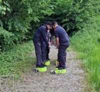 20250517_142152_bearbeitet_wz